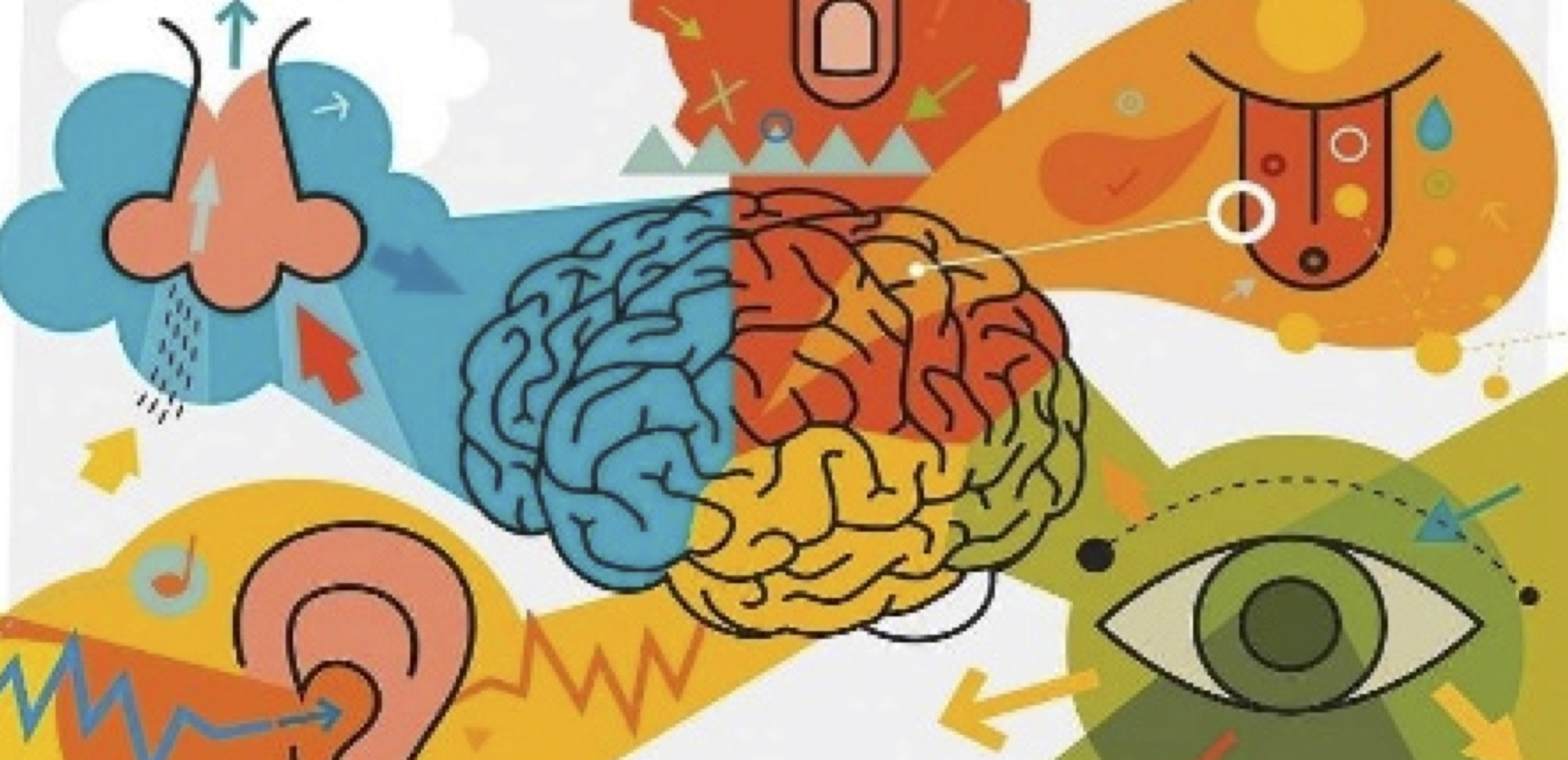 El marketing sensorial